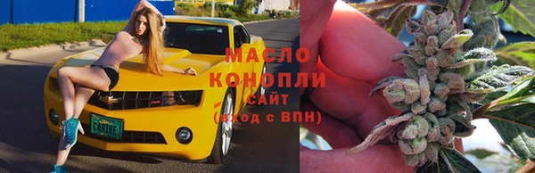 сатива Новодвинск