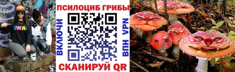 Псилоцибиновые грибы Magic Shrooms  Тихвин 