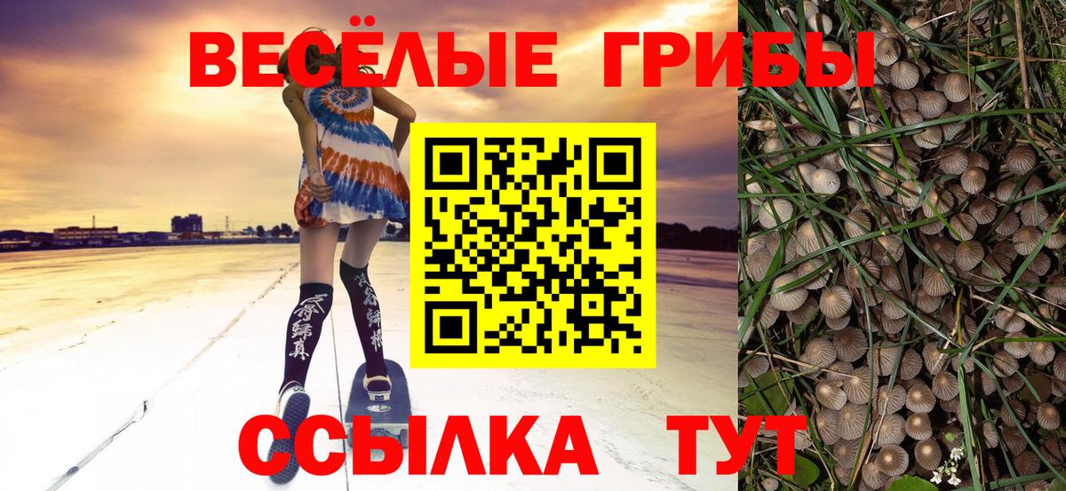 Галлюциногенные грибы MAGIC MUSHROOMS Тихвин